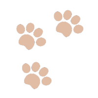 くら敷畳　ペットグッズ