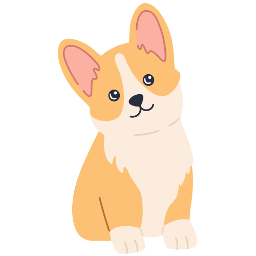 くら敷畳 畳知識 衝撃緩和